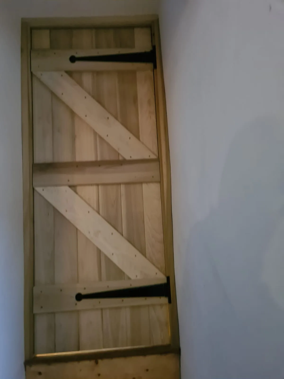 Timber rot repair and let-in